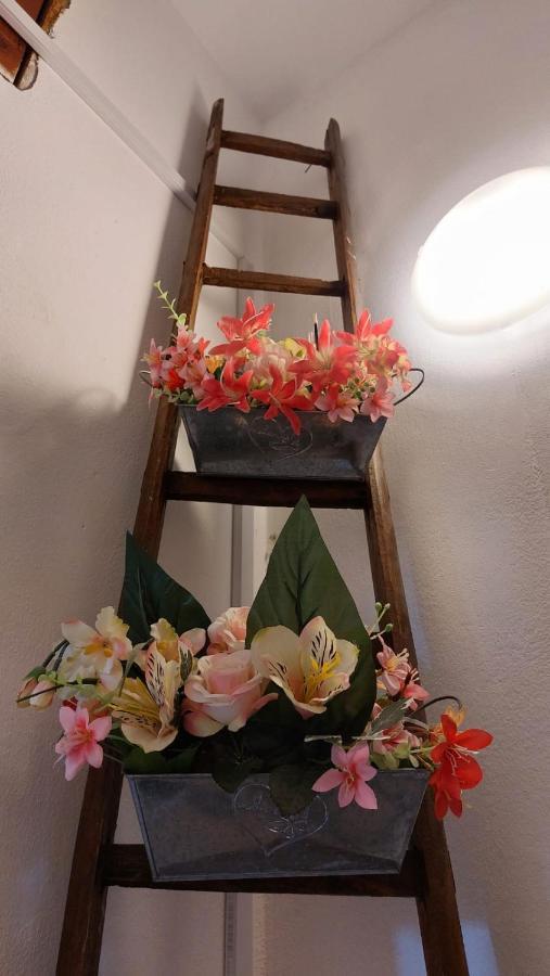 La Casa Dei Gatti Apartment Syracuse ภายนอก รูปภาพ